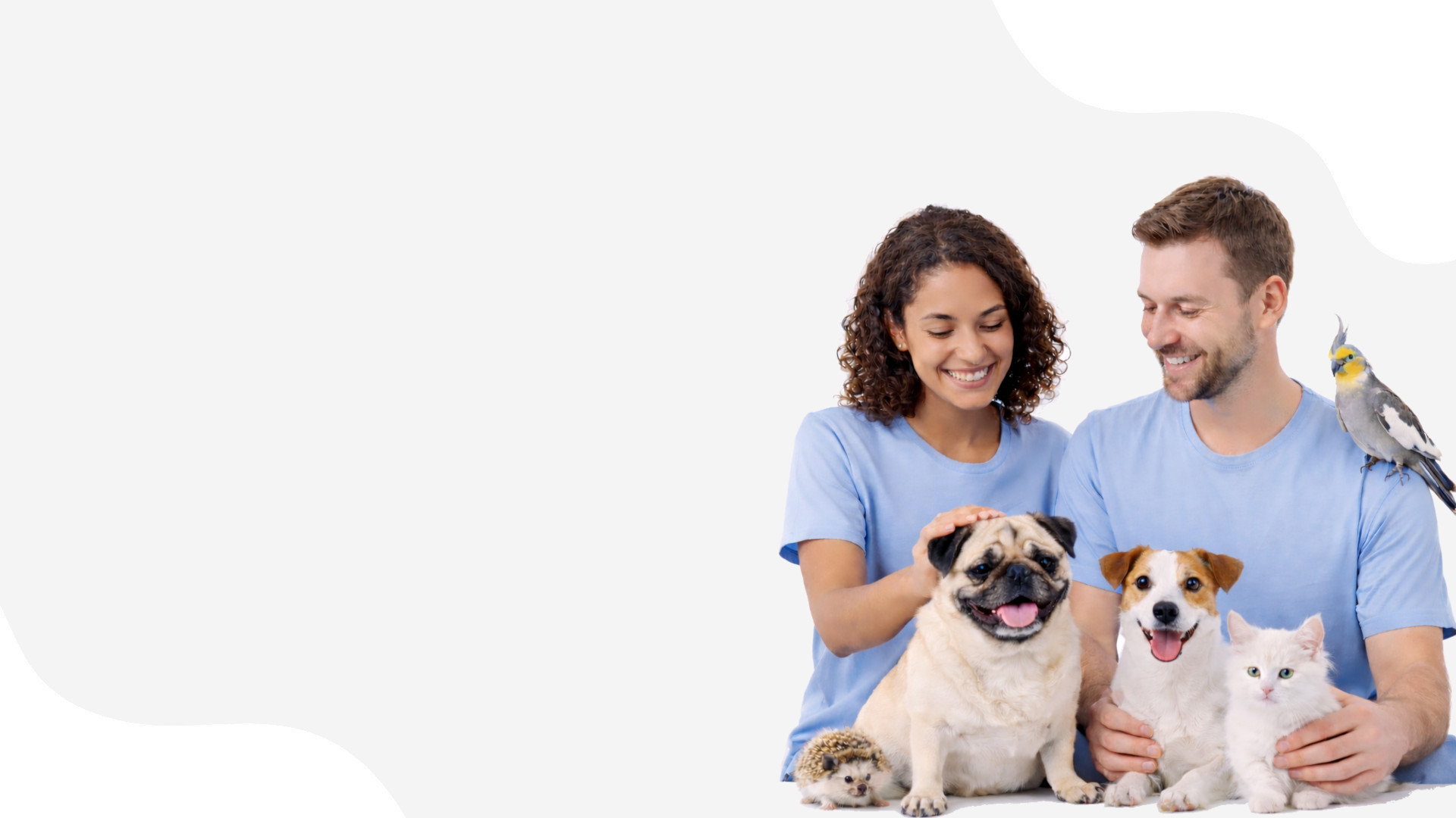 Animal Care - il corso per lavorare con gli animali